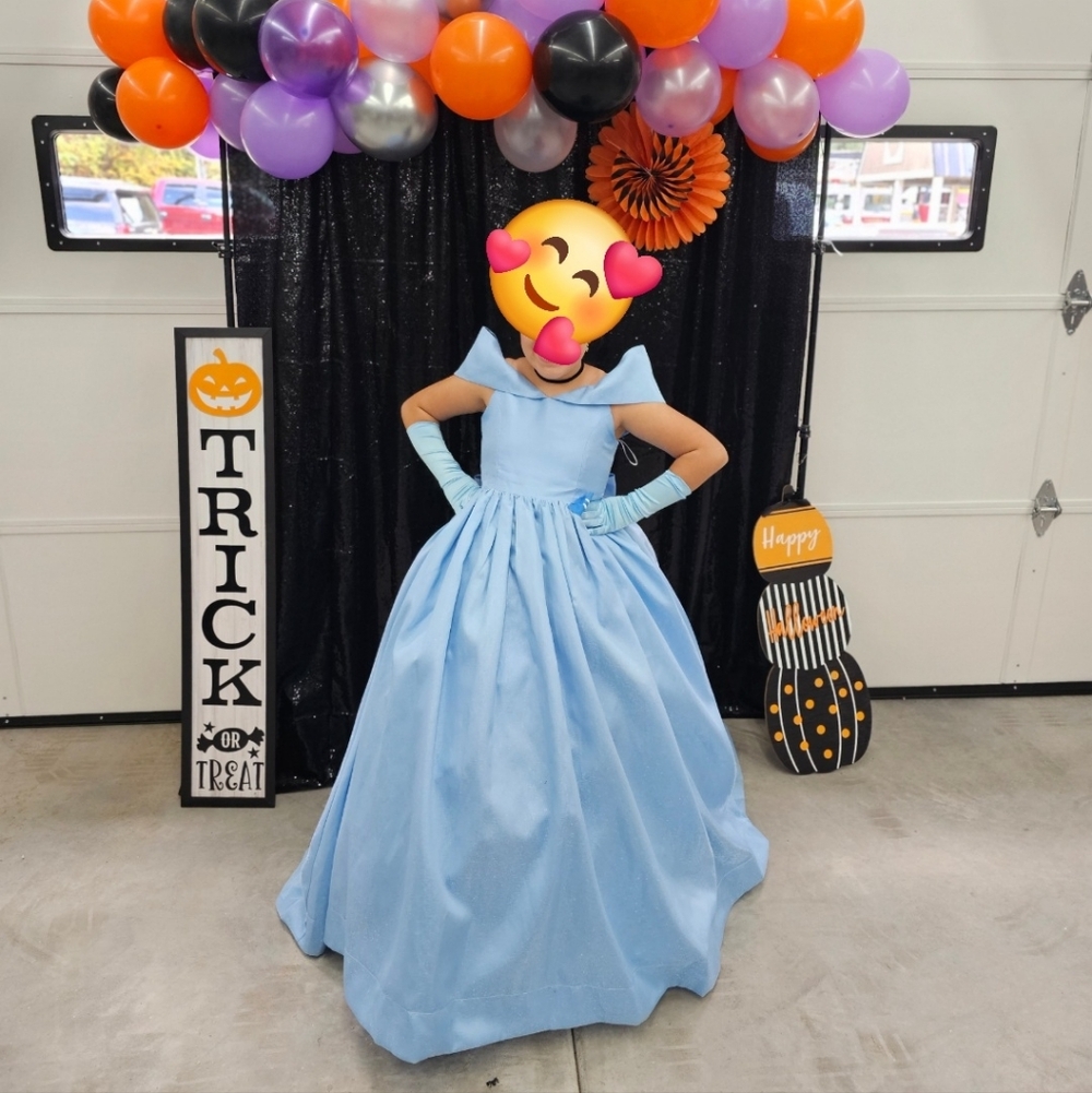 Cinderella Inspired Princess Blue Dress  Sz 14 Kids